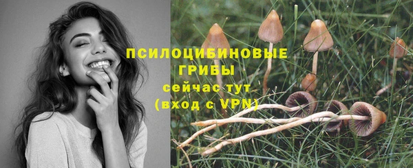 синтетический гашиш Бородино